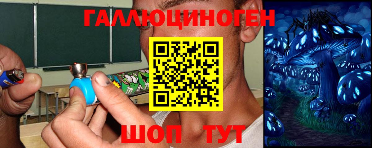 Псилоцибиновые грибы Psilocybine cubensis  Галлюциногенные грибы Magic Shrooms  Кинель  Вход с VPN 