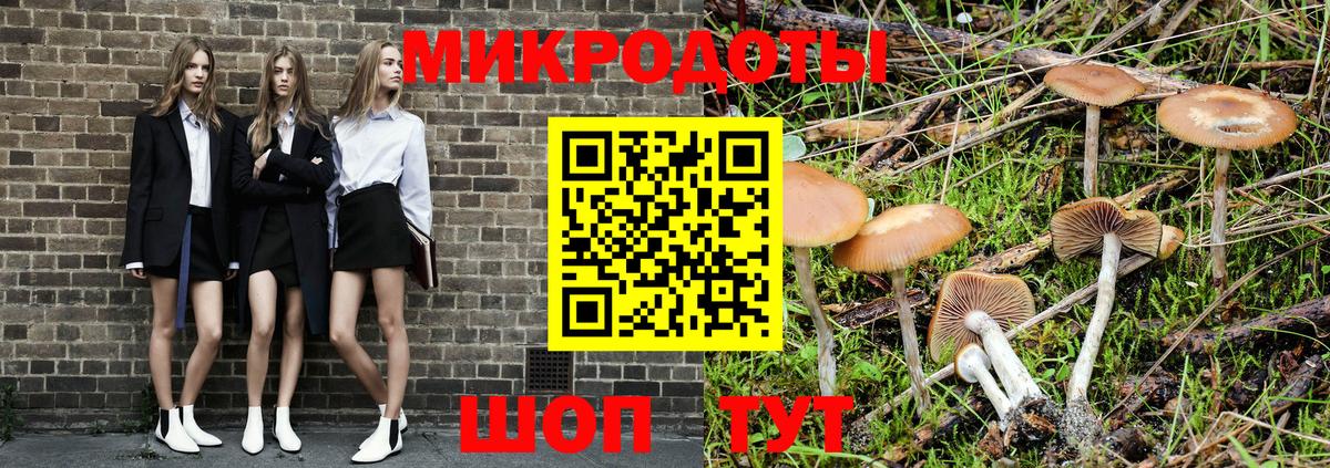 Псилоцибиновые грибы Cubensis Кинель