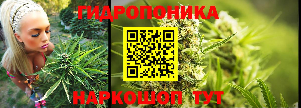 МАРИХУАНА индика  Вход с VPN  Канабис Bruce Banner  Кинель  Марихуана White Widow 